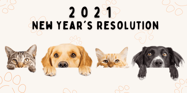 2021 New Year’s Resolutions For Pets? — We can help you!