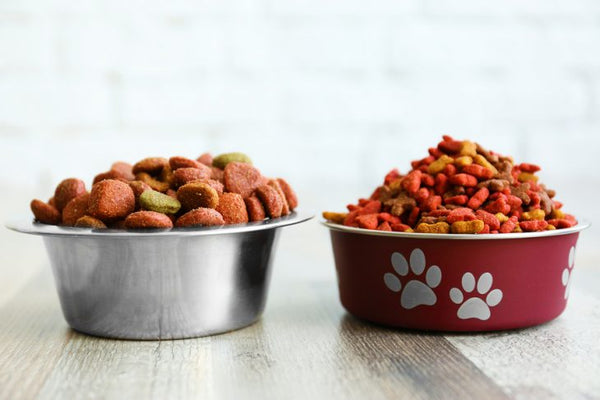 How to Choose the Best Dog Food