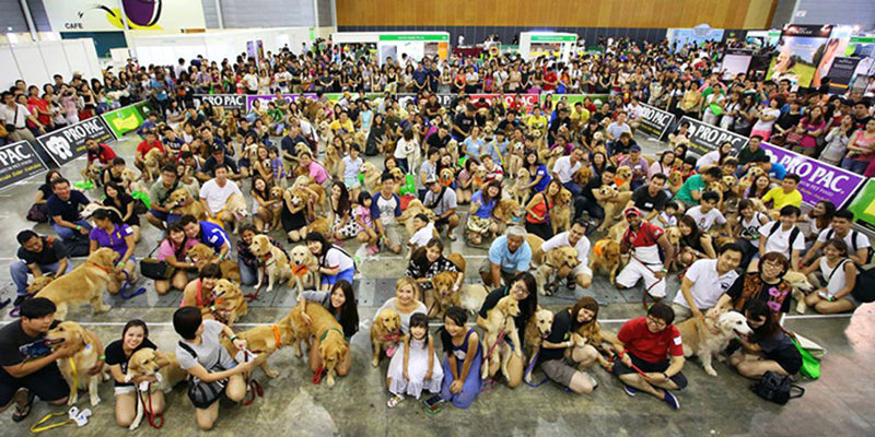 Snippets from the Pet Expo 2015