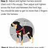 2 Hounds Design Freedom No-Pull Dog Harness & Leash - Raspberry