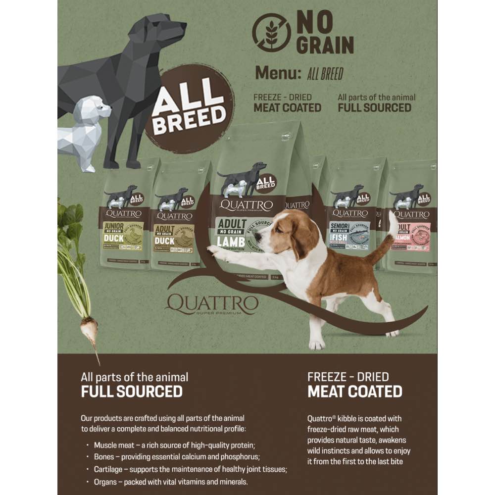 FREE TREAT w 12kg (Exp Nov26)': Quattro Salmon Adult All Breed No
