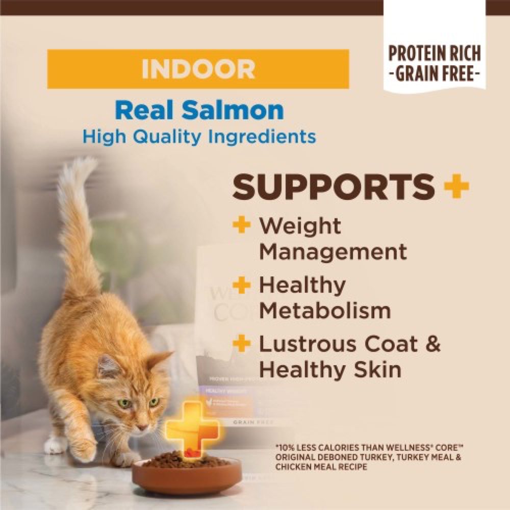 Wellness CORE Indoor Salmon Herring Grain-Free Dry Cat Food