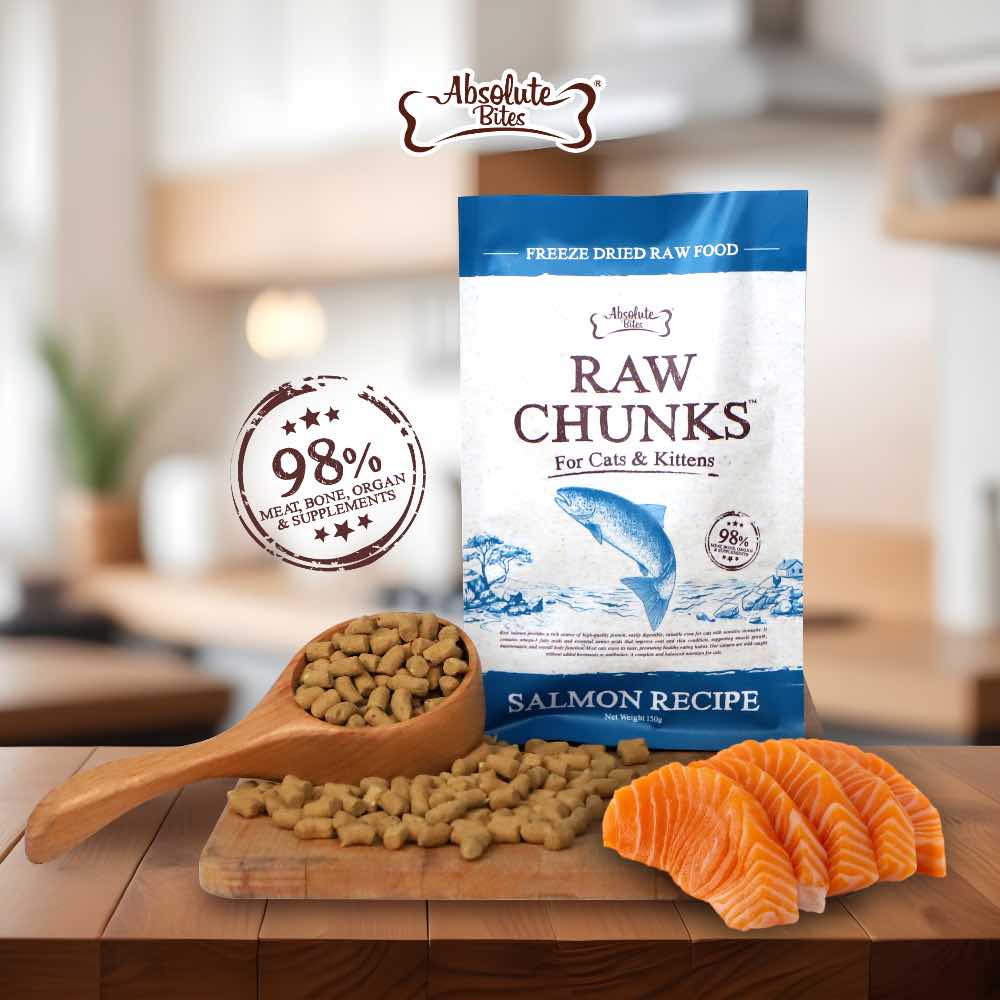Freeze Dried Raw Salmon For Cats Stella Chewy's Freeze-Dried Raw