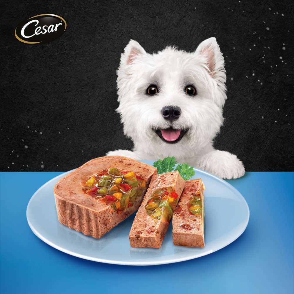 Cesar Chicken Vegetables Pate Tray Dog Food Kohepets