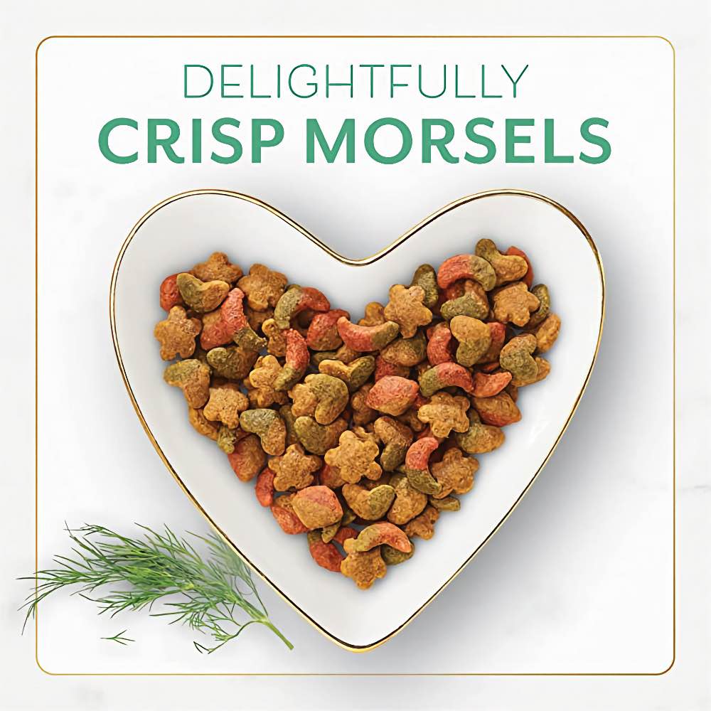 Fancy Feast Gourmet Ocean Fish Salmon Dry Cat Food Kohepets