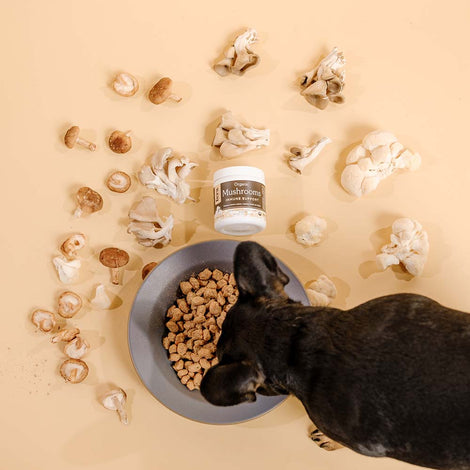 Fera Pet Organics — NASC-Certified Supplements Made In The USA!