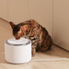 FurryTail Automatic Clear Cat Drinking Fountain 2L