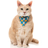 15% OFF: FuzzYard Cat Collar, Bandana & Bowtie Fashion Pack (Cheesy Hearts)