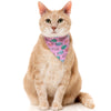 15% OFF: FuzzYard Cat Collar, Bandana & Bowtie Fashion Pack (Meowcarons)