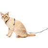 15% OFF: FuzzYard Cat Harness & Leash Walking Set (Caturday Night Fever)