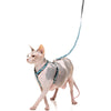 15% OFF: FuzzYard Cat Harness & Leash Walking Set (Wild One Aqua)
