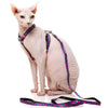15% OFF: FuzzYard Cat Harness & Leash Walking Set (Wild One Bubblegum)