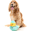 15% OFF: FuzzYard Ducktor Plush Dog Toy