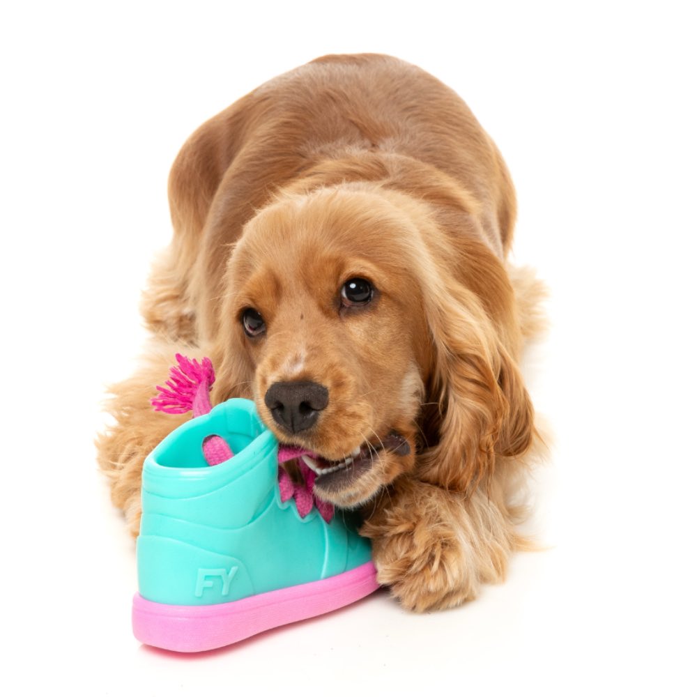 FuzzYard Fresh Kicks N' Licks Interactive Dog Toy | Kohepets