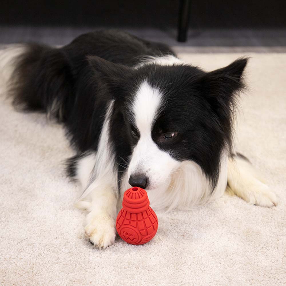 GiGwi Treat Dispensing Dog Toys — Interactive Toys To Keep Your Dog Entertained!