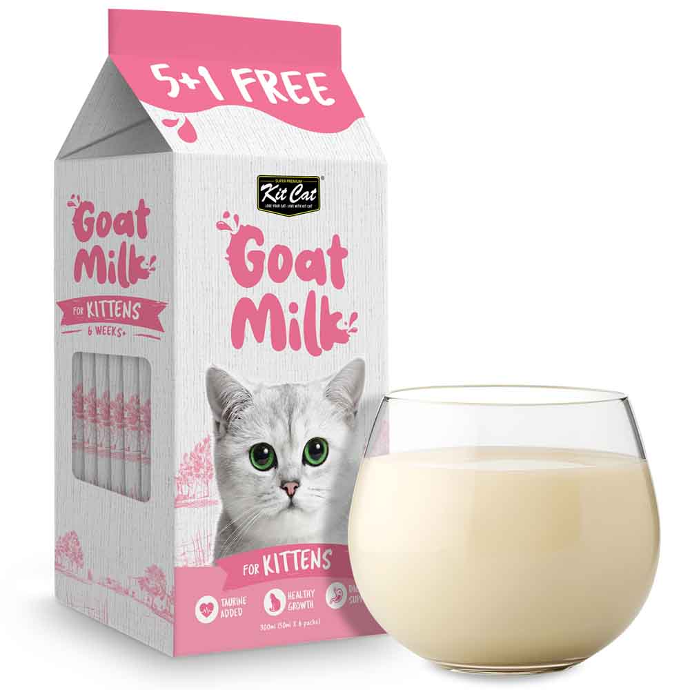 Milk For Cats Lactose Kitten Lactose Free Milk COSI PETS MILK