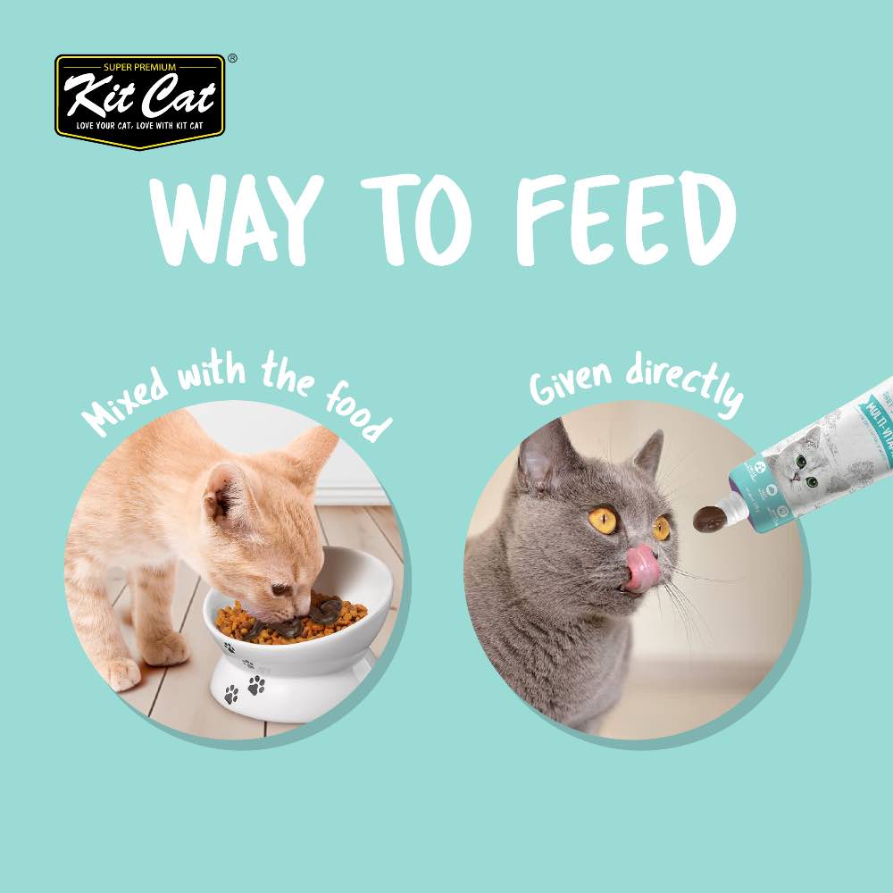 Kit Cat Weight Gain Daily Nutritional Supplement Gel For Cats
