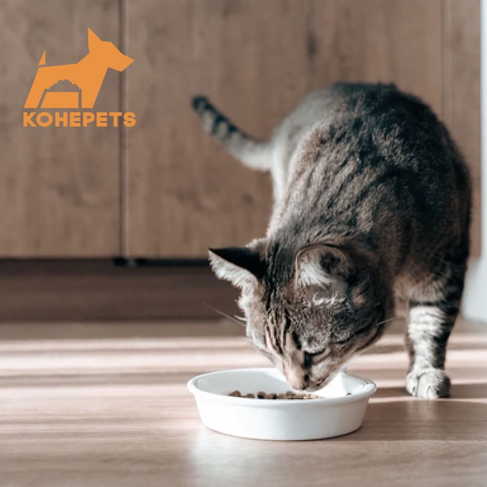 Aixia Kuro-Can Mini Tuna & Skipjack Tuna Canned Cat Food 80g