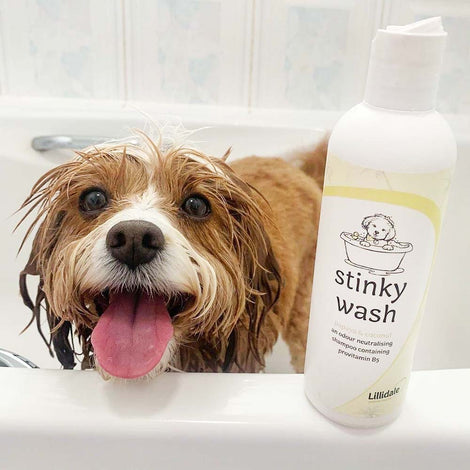 Lillidale Grooming Products For Cats & Dogs — Keep Your Furry Friends Feeling Fresh & Clean All Day Long!