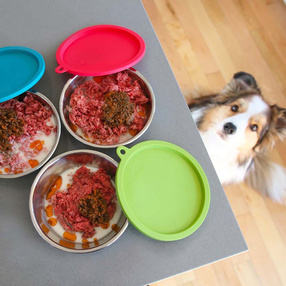 Messy Mutts Bowls & Feeders — Mealtimes Made Easier With Stainless Steel & Silicone Bowls, Slow Feeders & More!