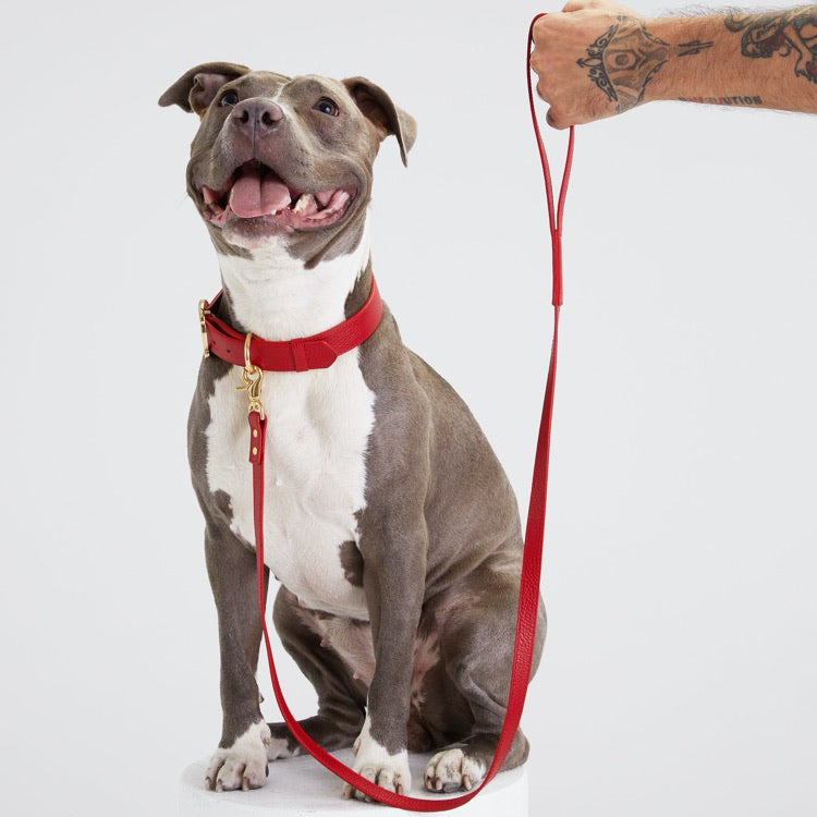 Moshiqa Leather Dog Leashes — Put Together The Perfect Look