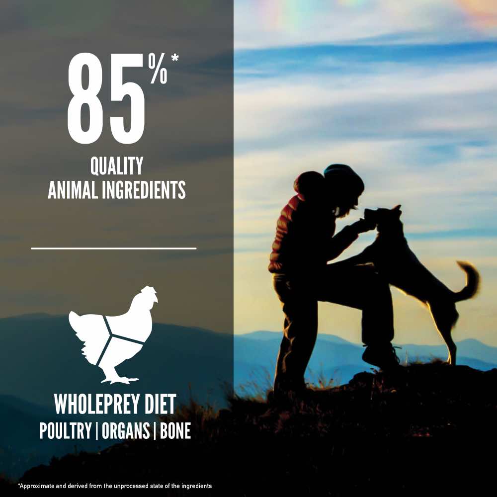 ORIJEN Original Grain-Free Dry Dog Food | Kohepets