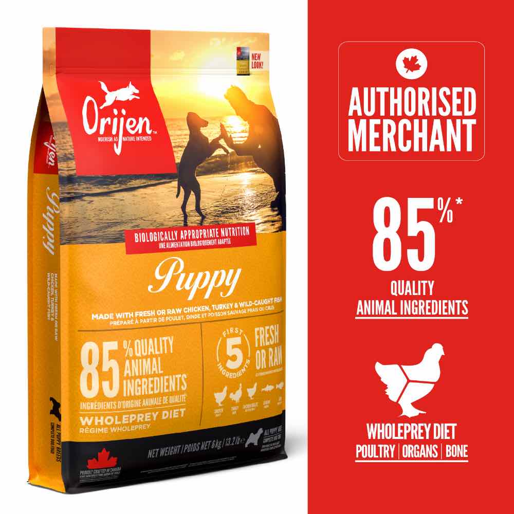 ORIJEN Puppy Grain-Free Dry Dog Food Kohepets