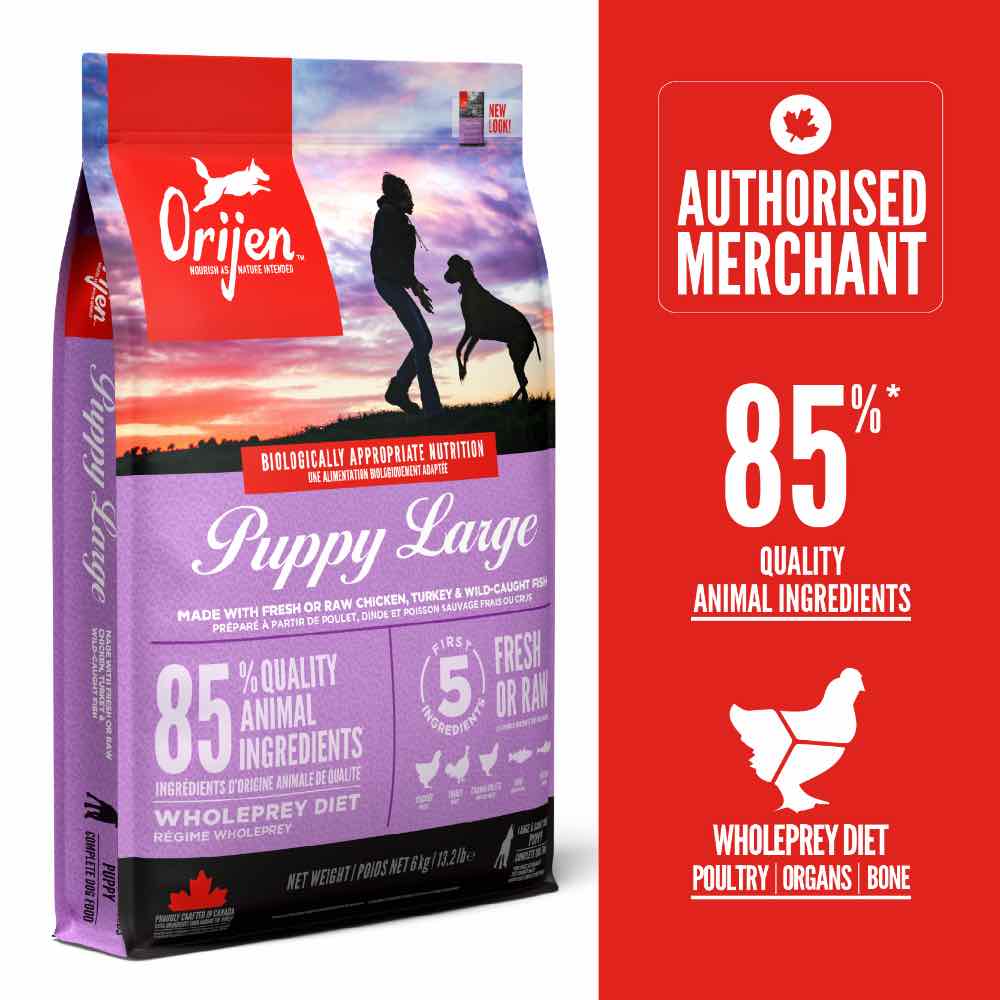 Orijen Puppy Large Grain-Free Dry Dog Food Kohepets