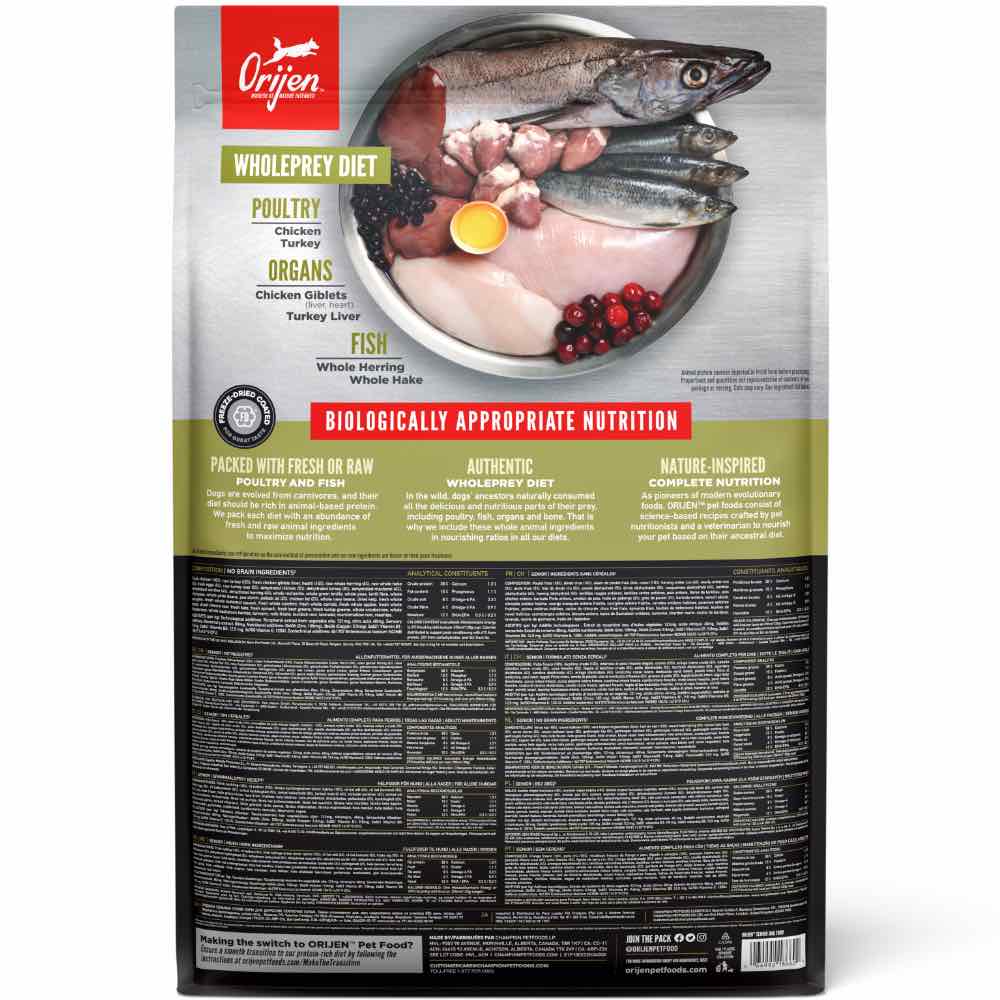 Orijen Senior ドッグフード 6㎏ ORIJEN Senior Grain-Free Dry Dog Food | Kohepets