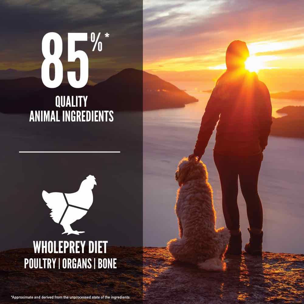 ORIJEN Senior Grain-Free Dry Dog Food | Kohepets