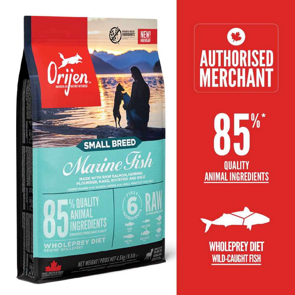 ORIJEN Marine Fish Small Breed Grain-Free Dry Dog Food | Kohepets