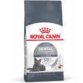 'BUNDLE DEAL/FREE TREATS w 3.5kg': Royal Canin Feline Care Nutrition Oral Dental Care Dry Cat Food