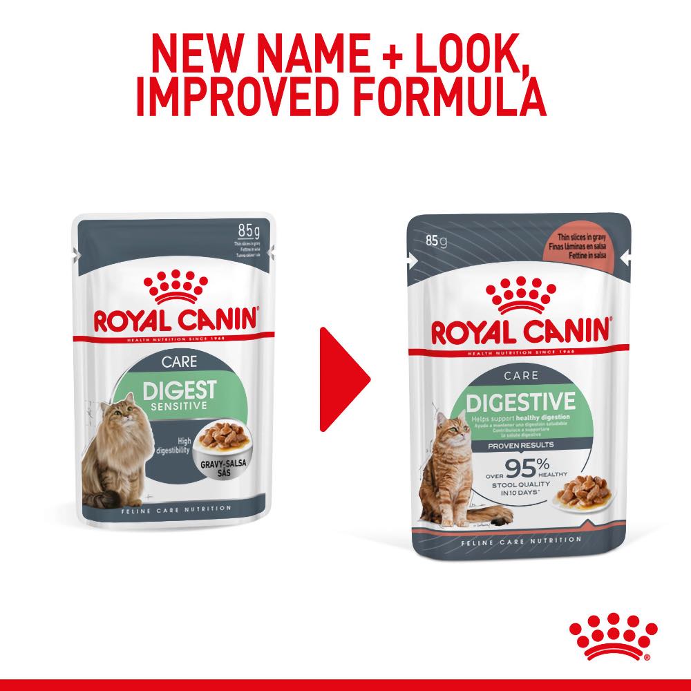 Royal Canin Digestive Care Adult Pouch Cat Food Kohepets
