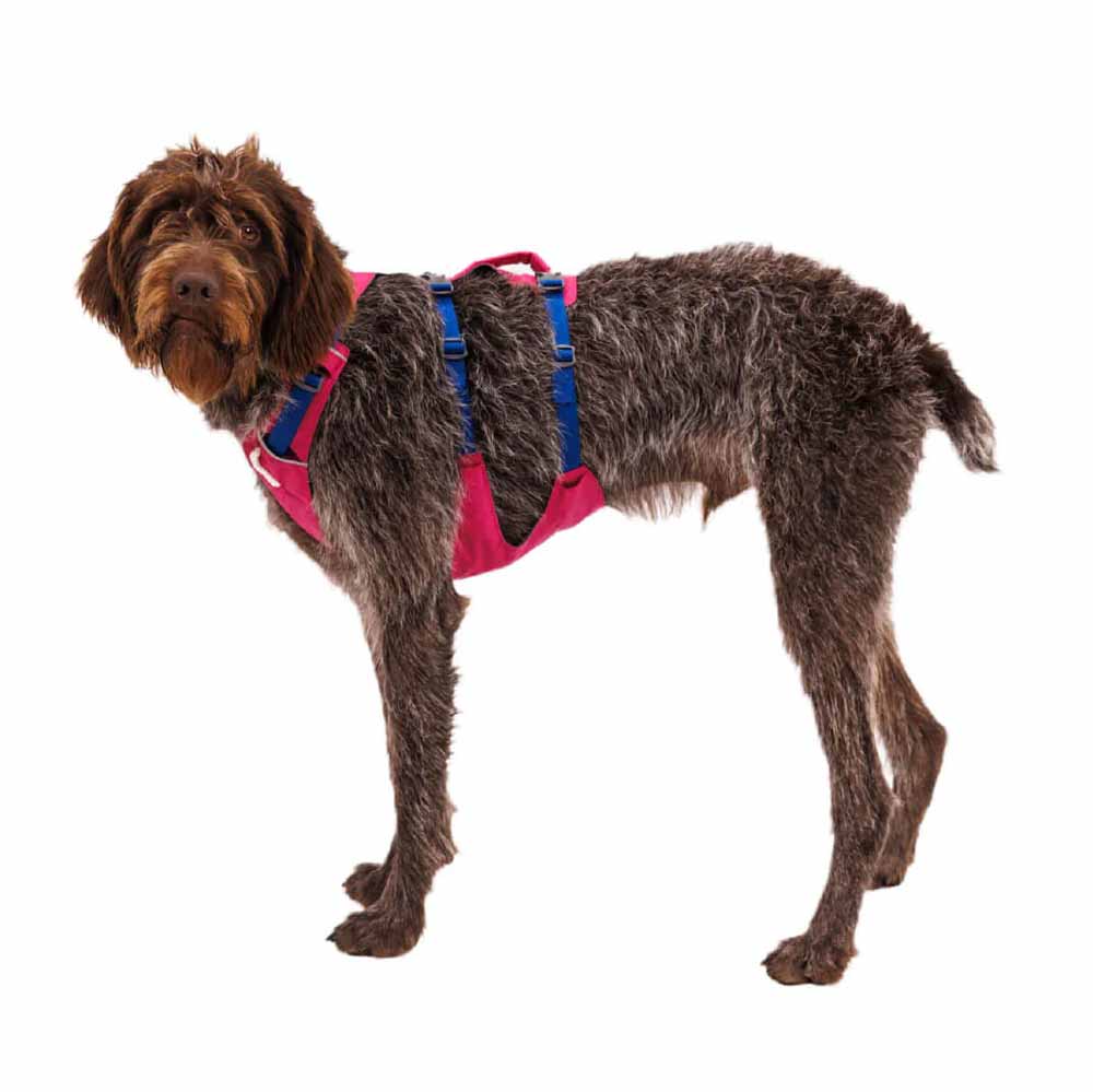 Ruffwear Flagline Lightweight No-Pull Handled Dog Harness