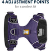 Ruffwear Front Range No-Pull Everyday Dog Harness (Purple Sage)