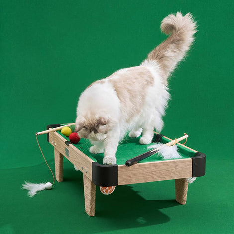 VETRESKA Pet Toys & Cat Scratchers — Upgrade Your Pet’s Toy Box With These Fun Additions!