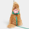 VETRESKA Flora Collar, Backpack Harness & Leash Set For Cats & Dogs