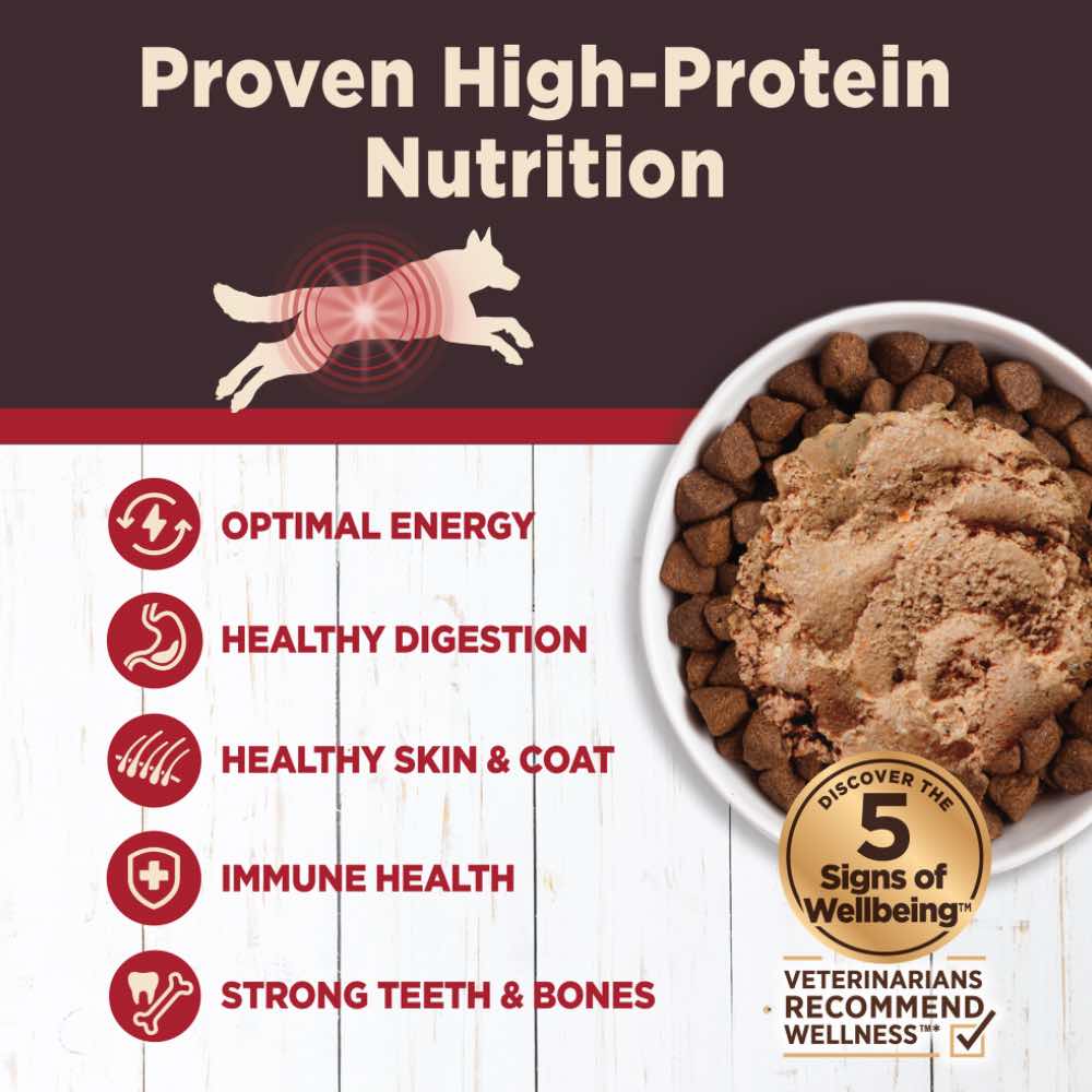 Picture of Wellness CORE Digestive Health Beef Grain-Free Canned Dog Food 13oz ...