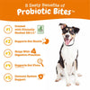 10% OFF: Zesty Paws Probiotic Bites Pumpkin Flavor Dog Supplement Chews 90ct