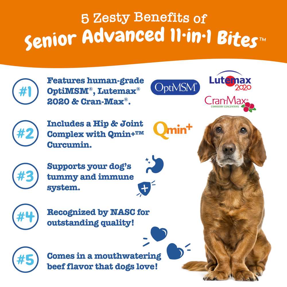 Zesty Paws Senior Advanced 11-in-1 Bites Chicken Flavor Dog