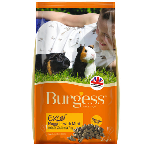 Burgess Excel Tasty Nuggets For Guinea Pigs 2kg - Kohepets