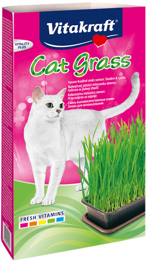 Vitakraft Cat-Gras Cat Grass 120g - Kohepets