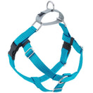 2 Hounds Design Freedom No-Pull Dog Harness & Leash - Turquoise/Silver