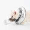 Pidan Space E-Collar For Cats & Dogs - Kohepets
