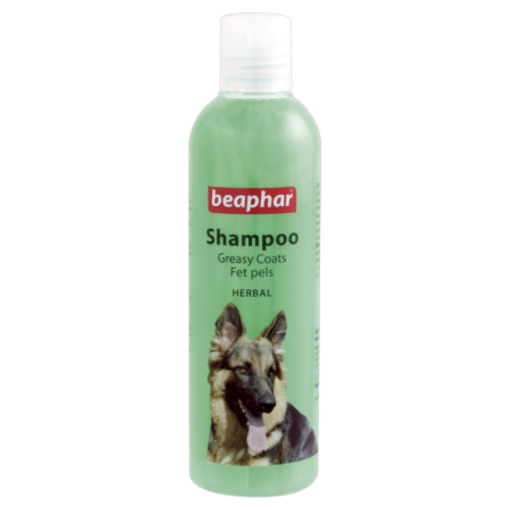 Beaphar Herbal Greasy Coat Shampoo For Dogs 250ml Kohepets