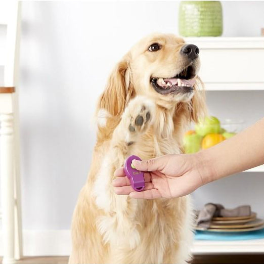PetSafe Clik-R Dog Training Clicker - Kohepets