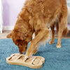 10% OFF: Ethical Pet SPOT Seek-A-Treat Shuffle Bone IQ Puzzle Interactive Dog Toy - Kohepets