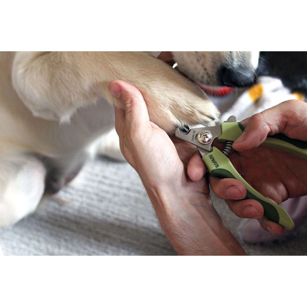 Safari Professional Stainless Steel Dog Nail Trimmer (Large