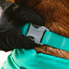 Ruffwear Confluence Reflective Waterproof Dog Collar (Aurora Teal) - Kohepets
