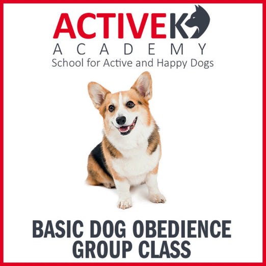 Active K9 Academy Basic Dog Obedience Group Class - Kohepets